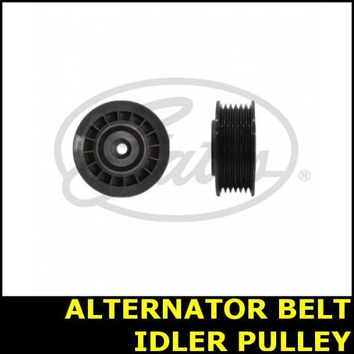 Ribbed belt idler pulley - idler,