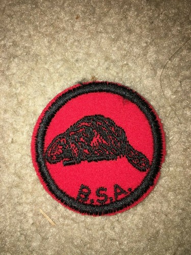 Boy scout bsa beaver - scout,