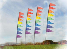 Spirit of Air Festival Pendant Banner Kit 3.4m Flagpole, 8 Flags & Spike RAINBOW