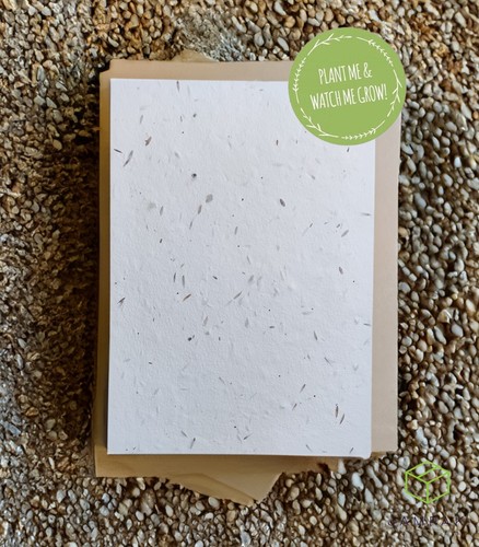 Seeded card white - seeded,