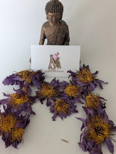 Organic blue lotus flowers - organic,