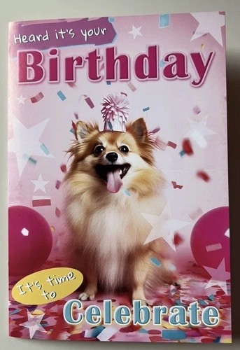 Cute pomeranian dog - cute,
