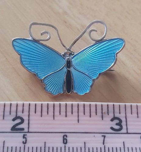 Sterling silver blue enamel - silver,