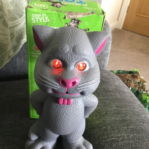 Recording talking tom - recording,