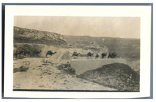 Near East, Camel Caravan