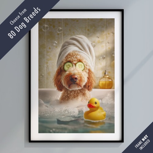 Funny dog bath - funny,