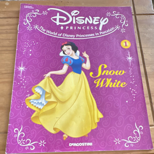 The world disney princesses - of,