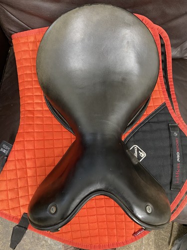 Wow saddle seat size - wow,
