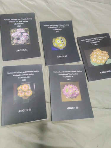 National auricula and primula - national,