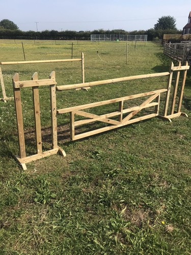 Hanging gate horse - horse, jump