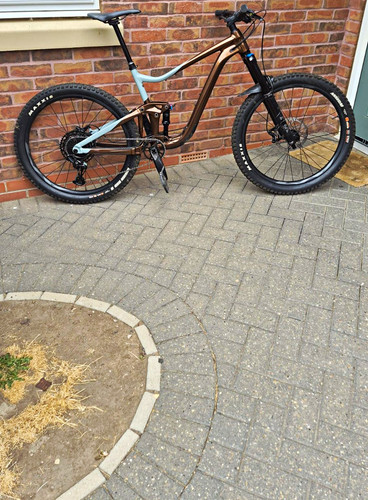 Giant trance immaculate - giant,