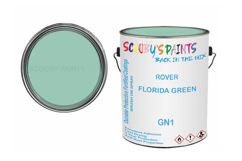 Classic paint for - classic,