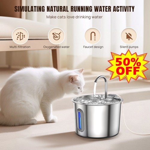 2026 cat water - 2026,