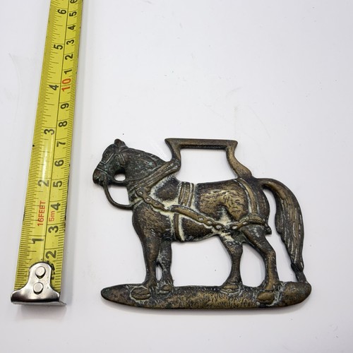 Shire horse with - , harness