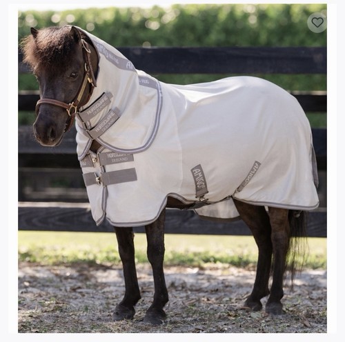 Miniature horse amigo - horse, rug