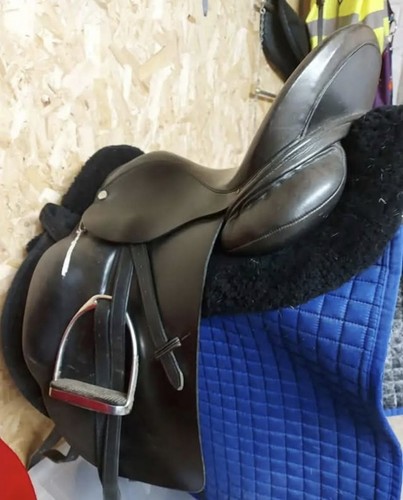 Albion platinum dressage - albion,