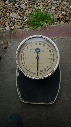 Old bathroom scales - old,