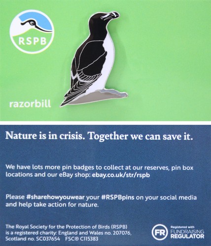 Rspb pin badge niic - niic, razorbill