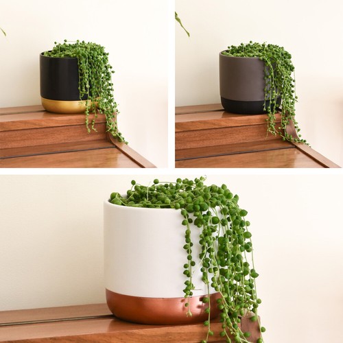 String pearls indoor - t&m,