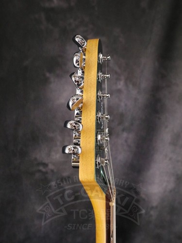 Schecter fastback guitar - pt,