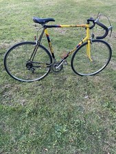 Raleigh Team Banana vintage