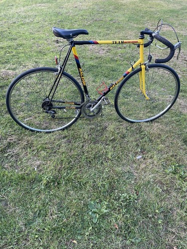 Raleigh team banana vintage - banana,