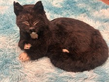 NAUTICALIA SHIPS CAT TRIM