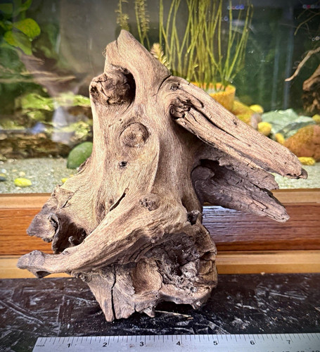 Aquarium driftwood 20cm - aquarium,