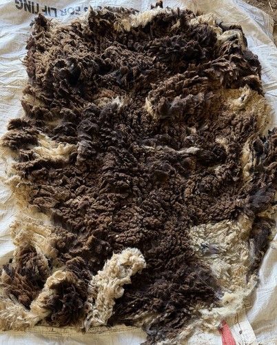 Raw tan brown white - tan,