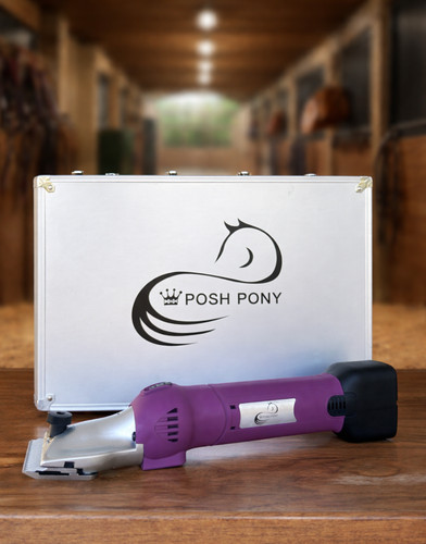 Posh pony cordless horse - posh,
