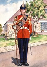 Drum Major-5th Battalion