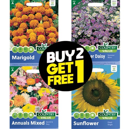 Flower seeds nasturtium - seeds,