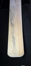 Blue Stain Cricket Bat