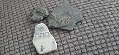 Fossils ammonite iron - fossils, pyrite