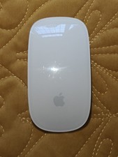 Apple Magic Mouse + AA