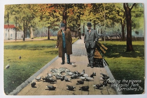 1909 postcard harrisburg - 1909,