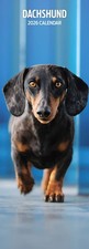 Dachshund 2026 Slim Calendar