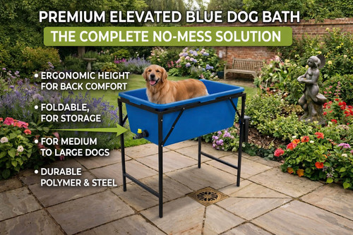 Blue dog bath tub - bath, elevated