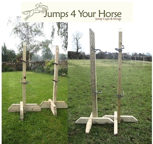 Pairs show jump training - show,