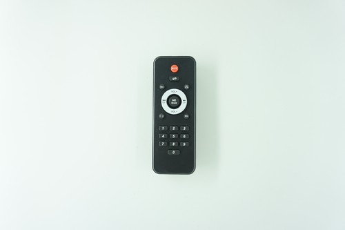 Remote control for vocal - control,