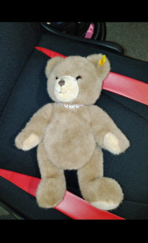 Steiff teddy bear - steiff,