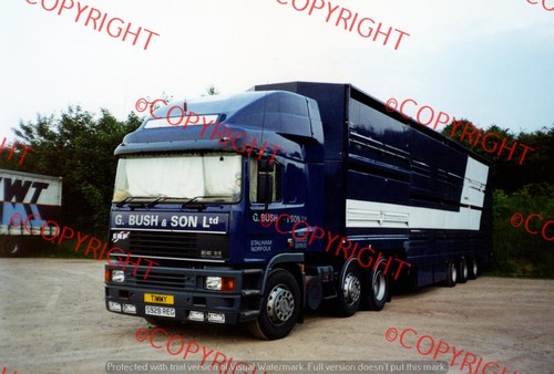 Truck lorry photo - truck/lorry, bush