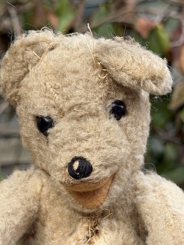 Vintage old teddy - old,