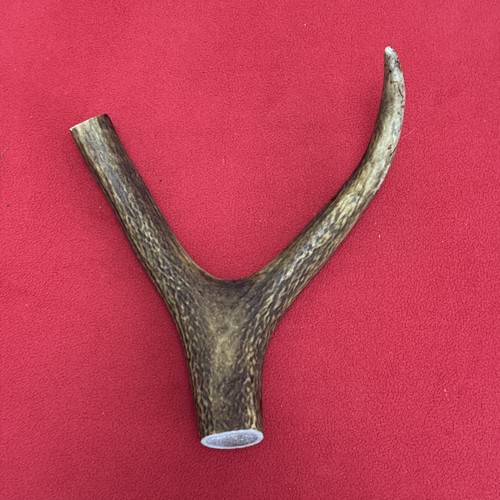 One piece deer antler y - deer,