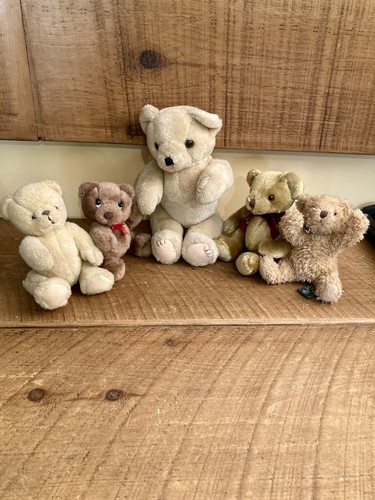 Teddy bear bundle russ - x,
