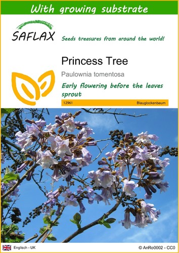Saflax princess tree 200 - -,