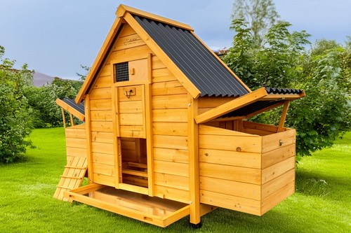 Chicken coop run hen house - chicken,