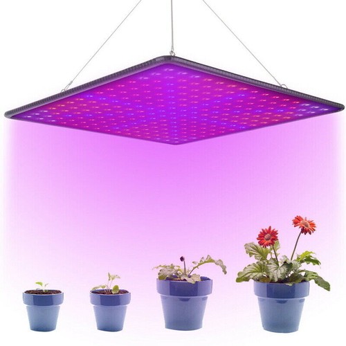 2000w led grow light for - light,