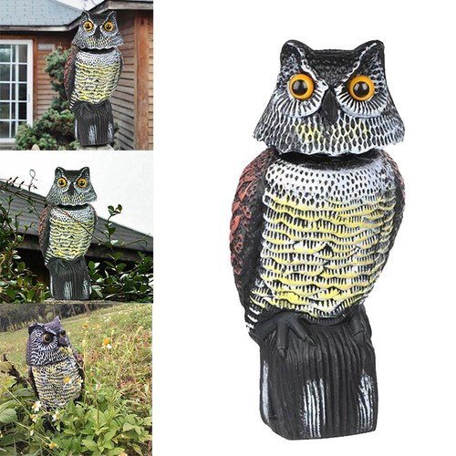 Realistic owl decoy - owl, with