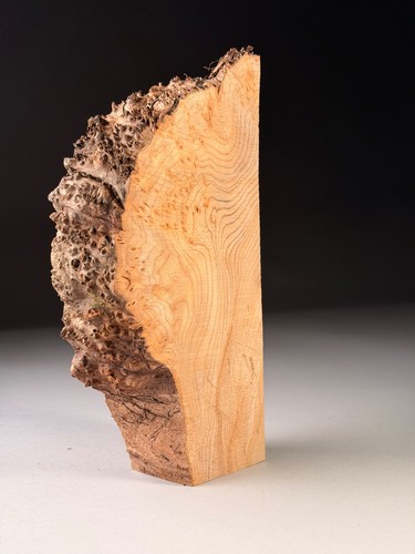 Live edge bowl blanks - live,
